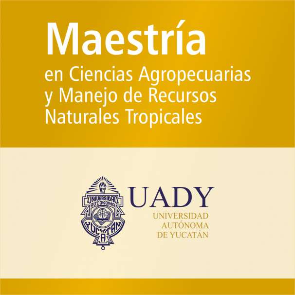 Maestría (SNP)