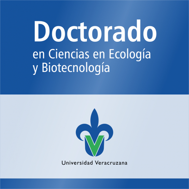 Doctorado (SNP)