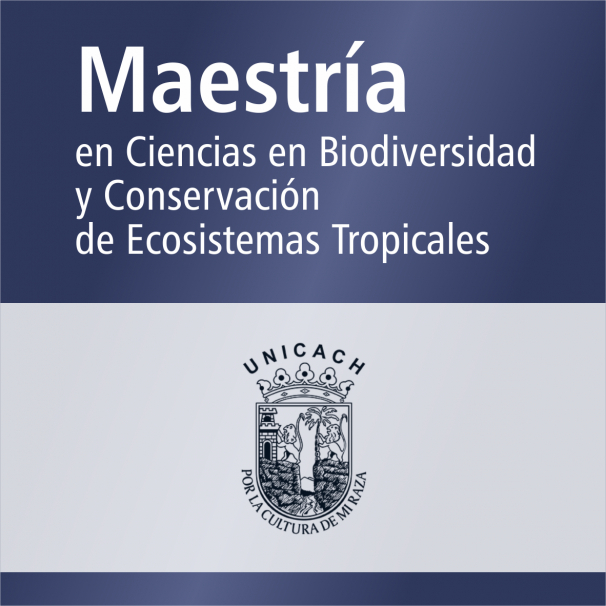 Maestría (PNPC)