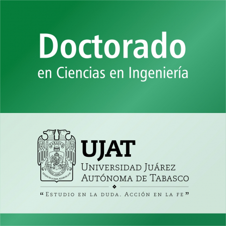 Doctorado en Ciencias en Ingenier&iacute;a (PNPC)