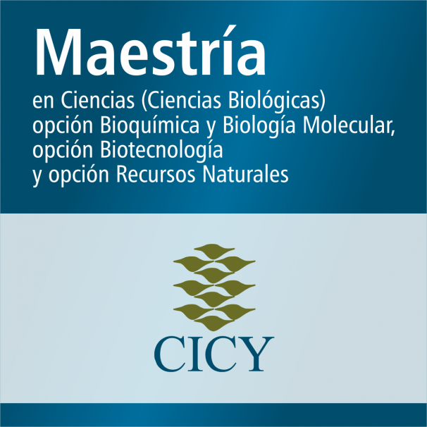 Maestría (SNP)
