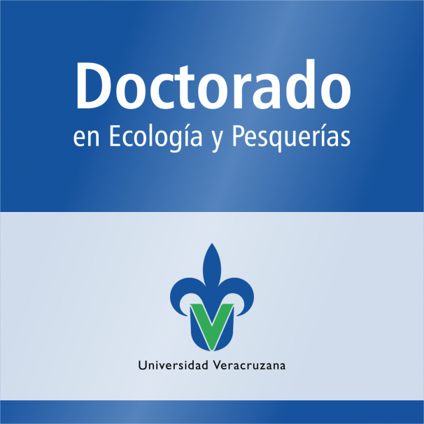 Doctorado (SNP)