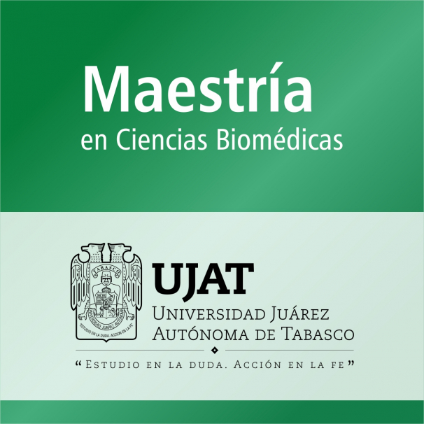 Maestría (PNPC)