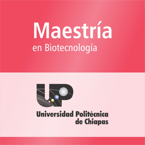 Maestría