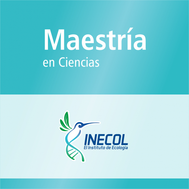 Maestría (PNPC)