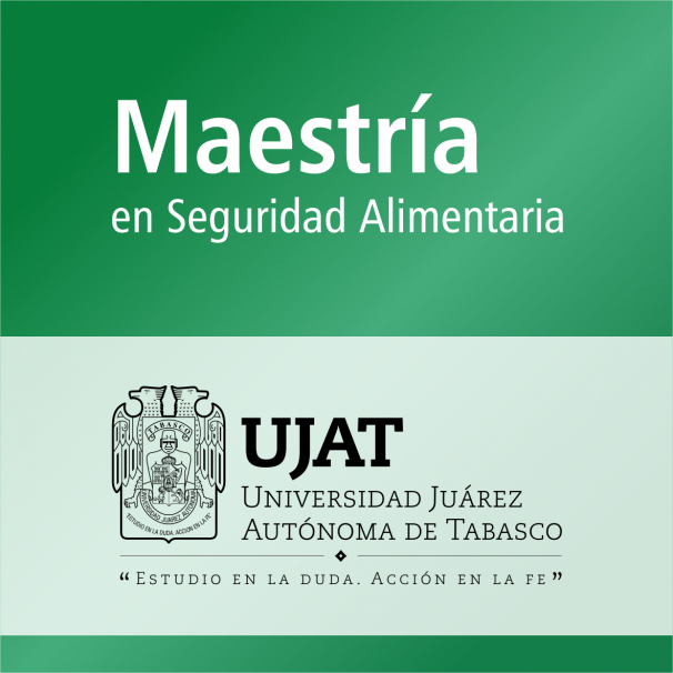Maestría