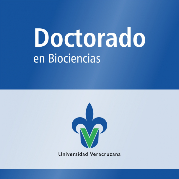 Doctorado