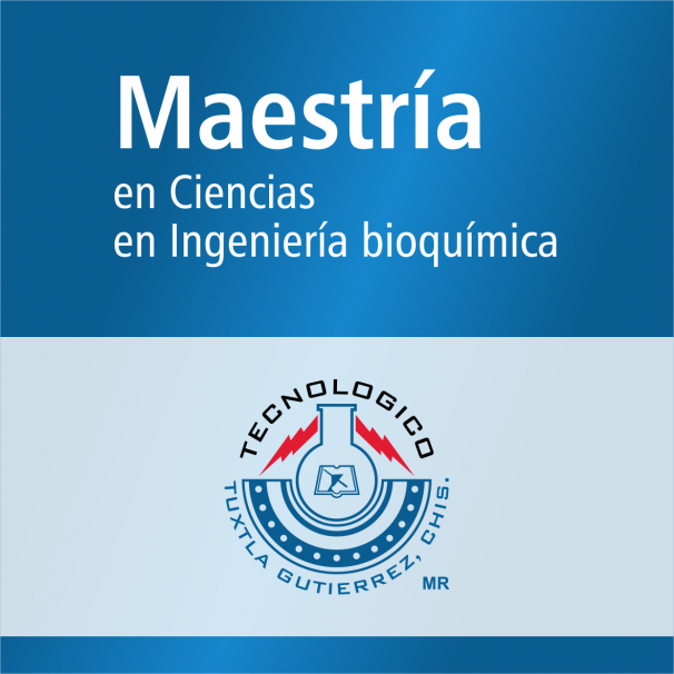 Maestría (PNPC)