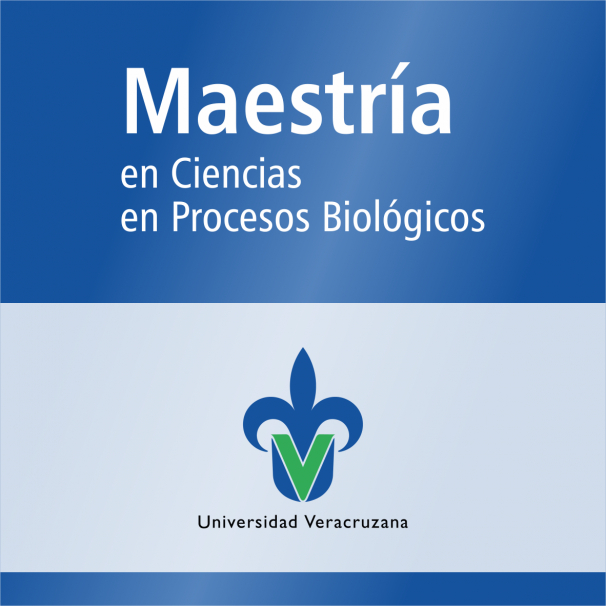 Maestría (SNP)