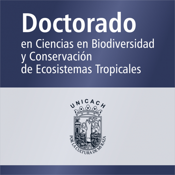 Doctorado (SNP)