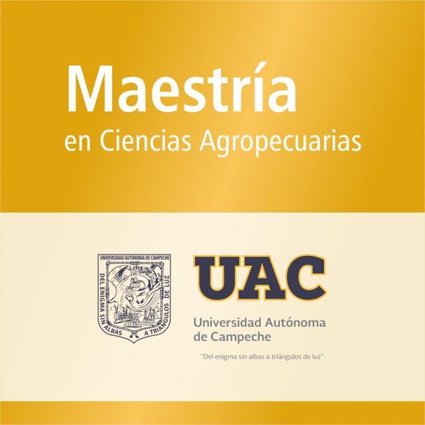 Maestría