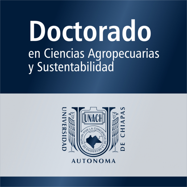 Doctorado (SNP)