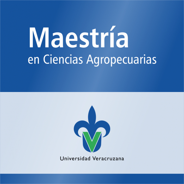 Maestría (SNP)