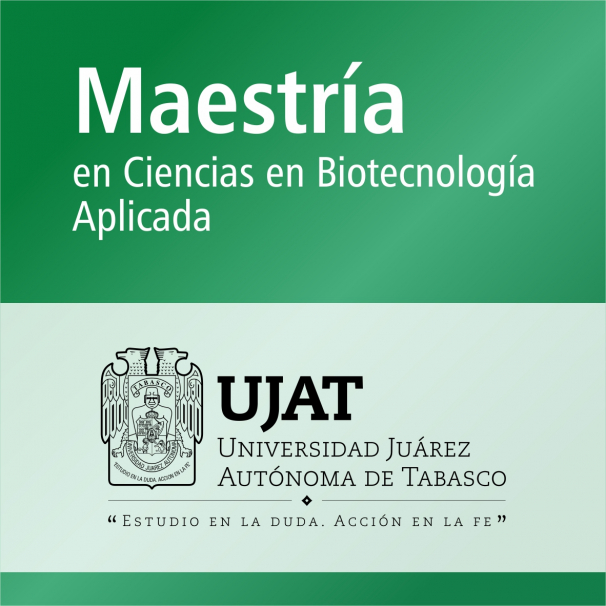 Maestría