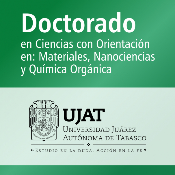 Doctorado (PNPC)