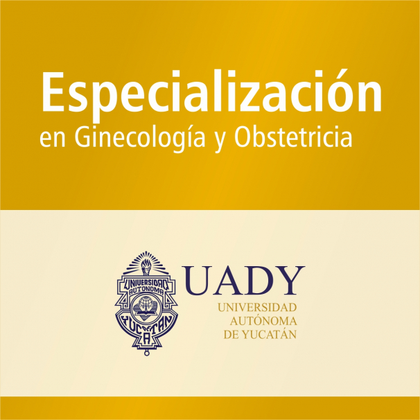 Especialización