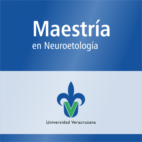 Maestría (SNP)