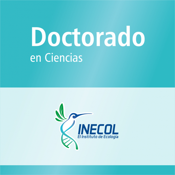 Doctorado (PNPC)