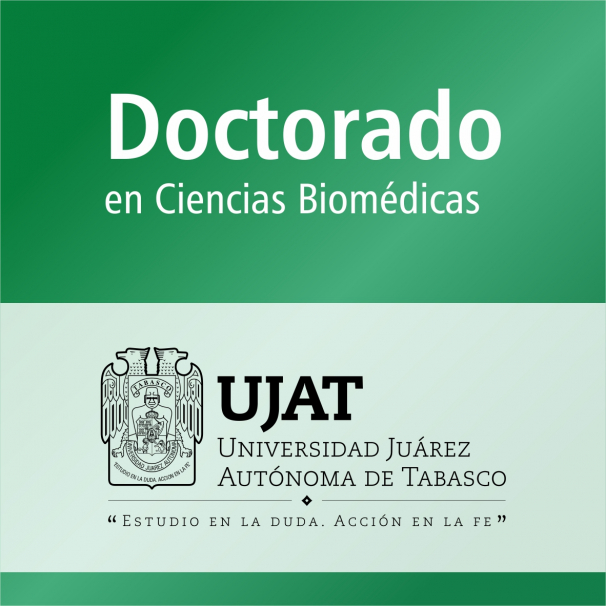 Doctorado (PNPC)