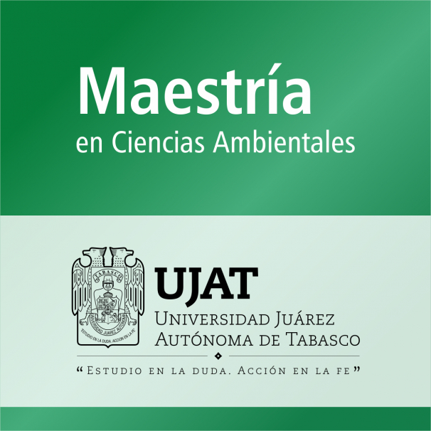 Maestría (PNPC)
