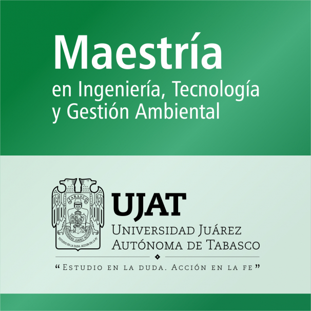 Maestría (PNPC)
