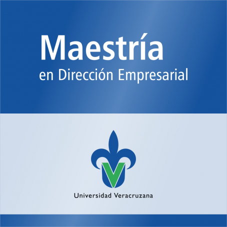 Maestr&iacute;a en Direcci&oacute;n Empresarial (SNP)