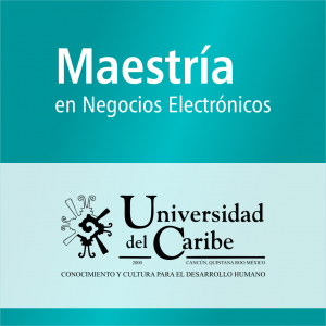 Maestr&iacute;a en Negocios Electr&oacute;nicos