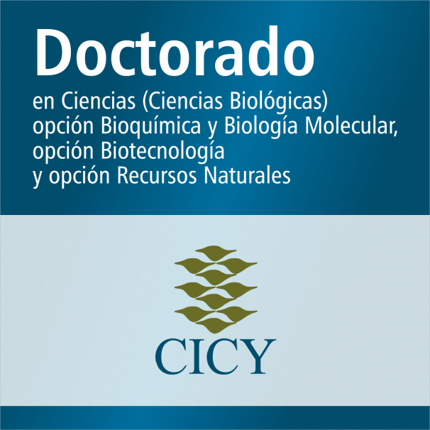 Doctorado (SNP)