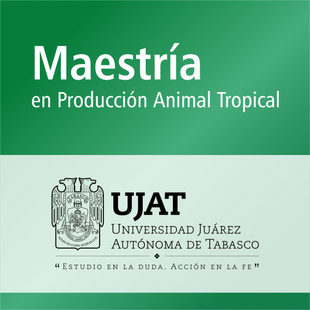 Maestría (PNPC)