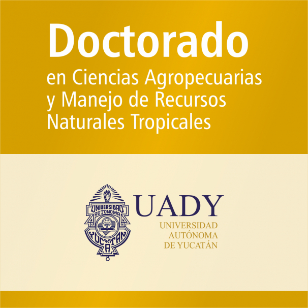 Doctorado (SNP)