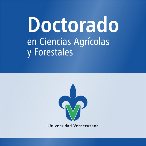 Doctorado