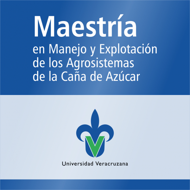 Maestría (SNP)