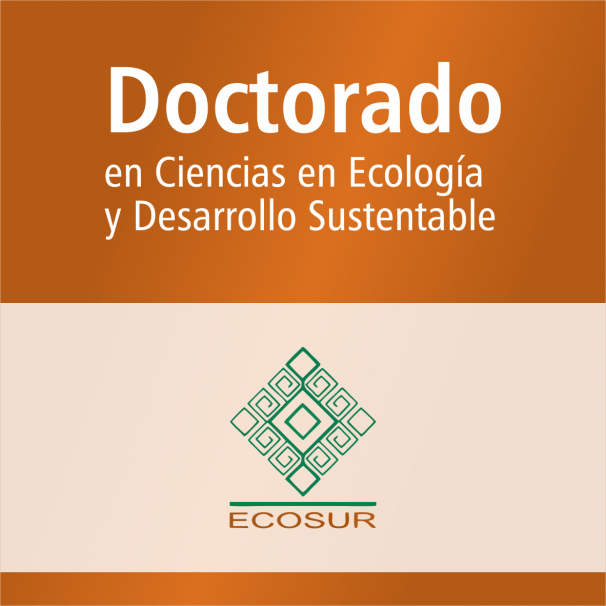 Doctorado (SNP)