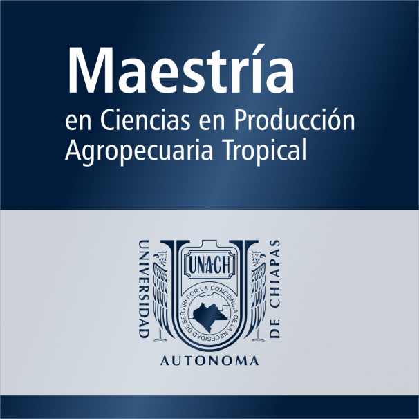 Maestría (SNP)