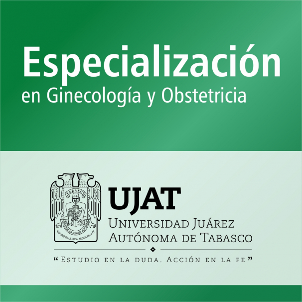 Especialización