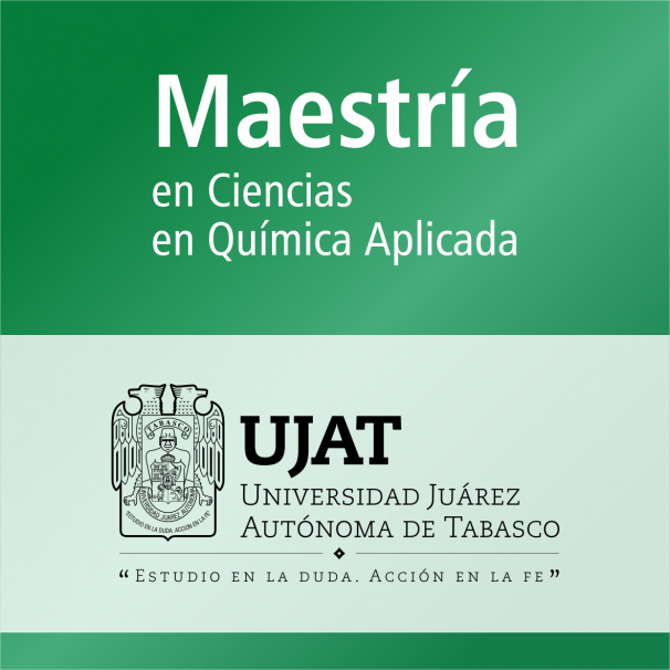 Maestría (PNPC)