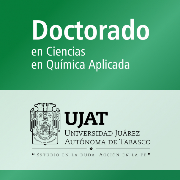Doctorado (PNPC)