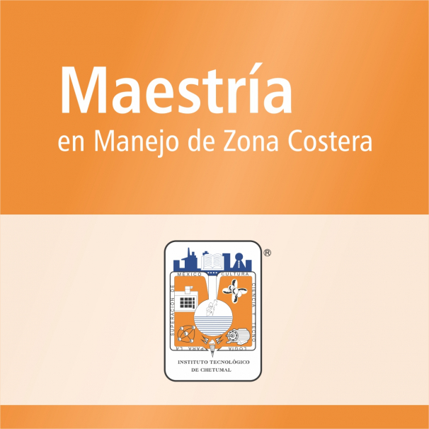 Maestría (PNPC)