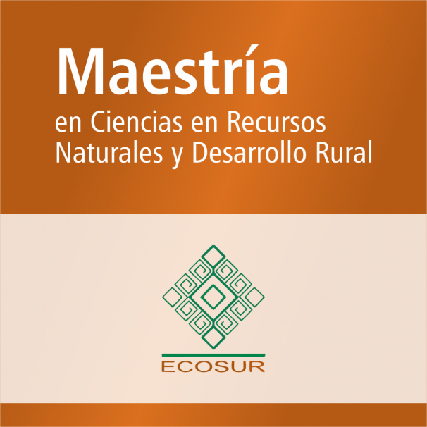 Maestría (SNP)