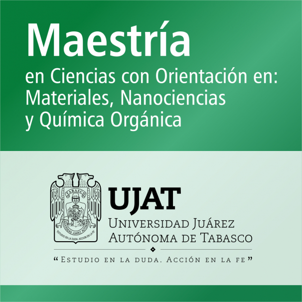 Maestría (PNPC)