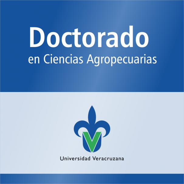 Doctorado (SNP)
