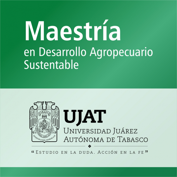 Maestría (PNPC)
