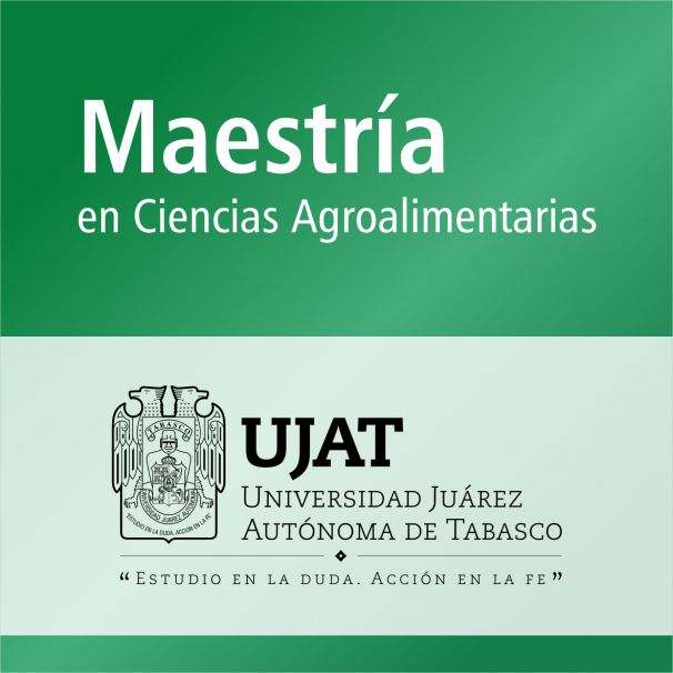 Maestría (PNPC)