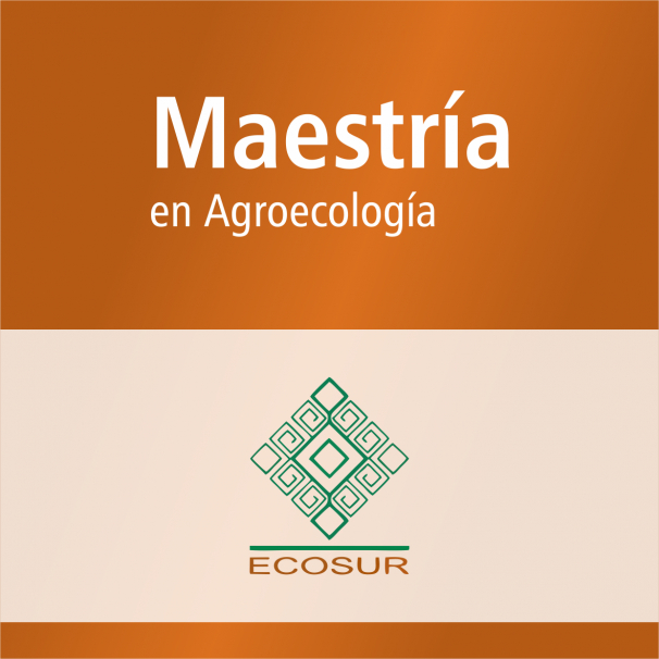Maestría (SNP)