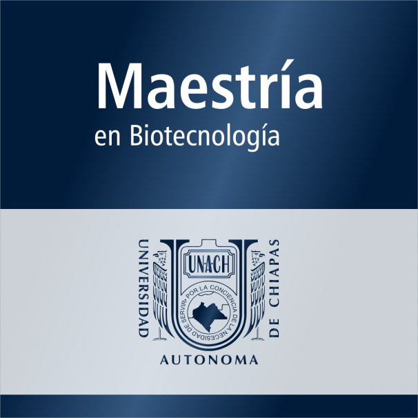 Maestría