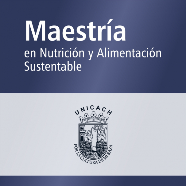 Maestría (SNP)