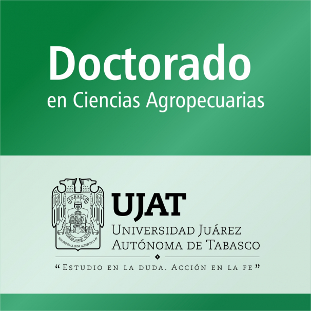 Doctorado