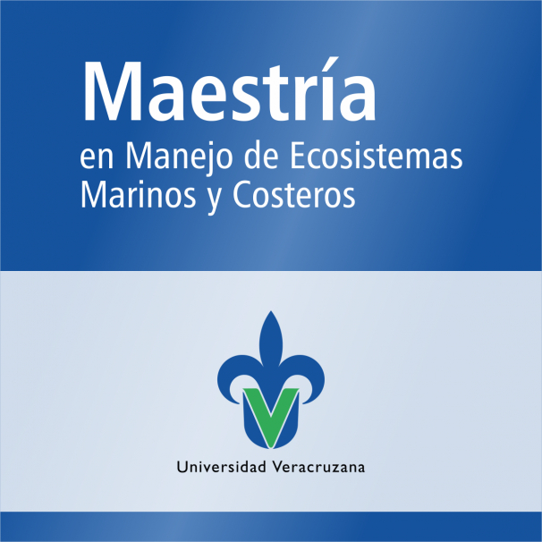 Maestría (SNP)