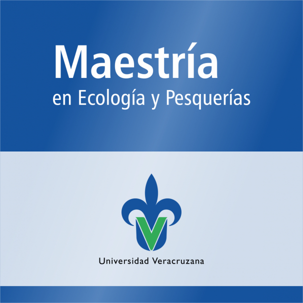 Maestría (SNP)